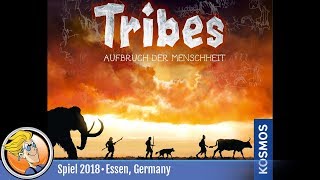 YouTube Review vom Spiel "Five Tribes: Die Dschinn von Naqala" von BoardGameGeek